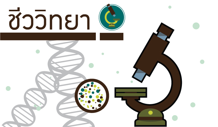 01424111 หลักชีววิทยา (Principles of Biology) ปีการศึกษา 2569 01424111